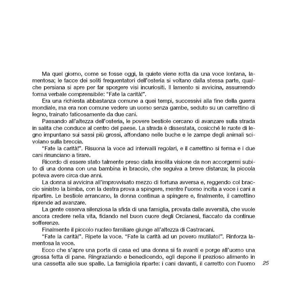 Intorno all'arola V 2010 p.025