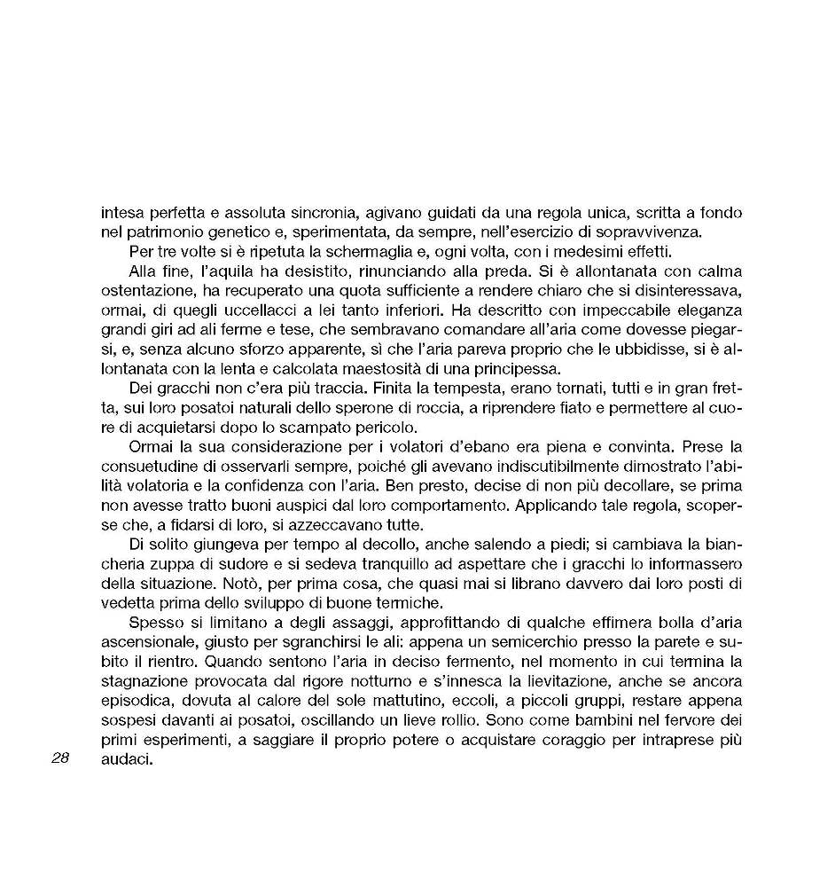 Intorno all'arola VI p.028