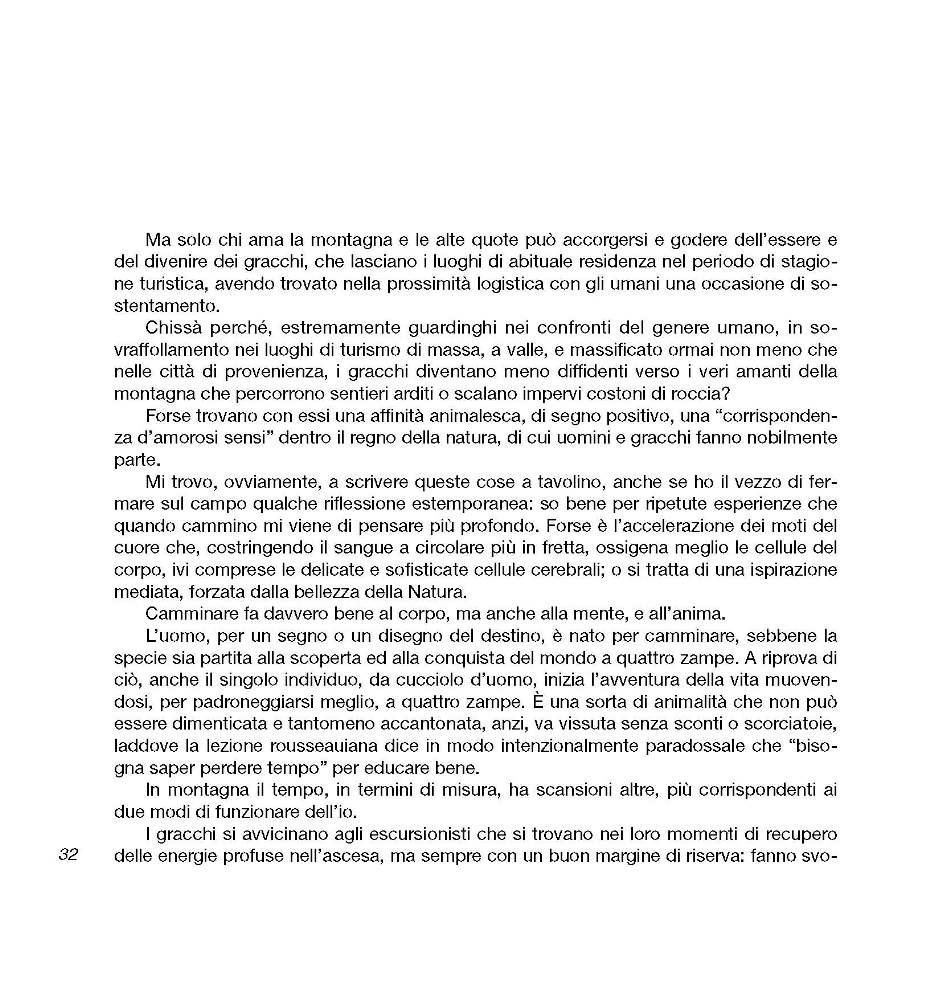 Intorno all'arola VI p.032