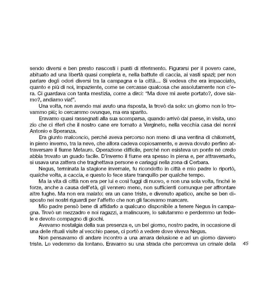 Intorno all'arola VII p.045