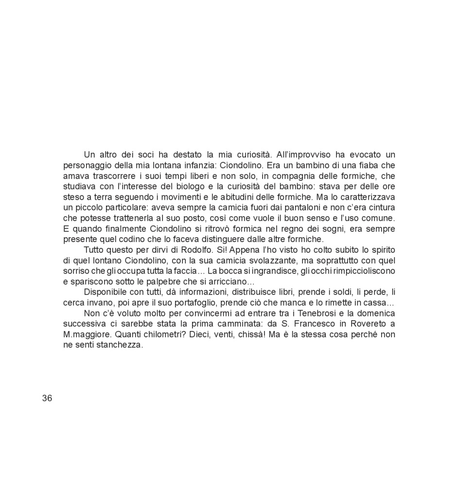 Intorno all'arola VIII p.036