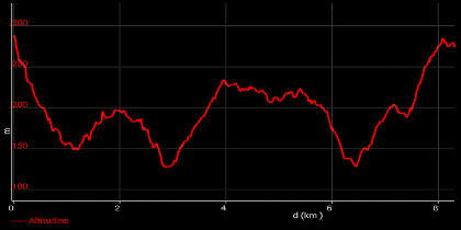 CF 3a Edizione 4a Tappa - Grafico