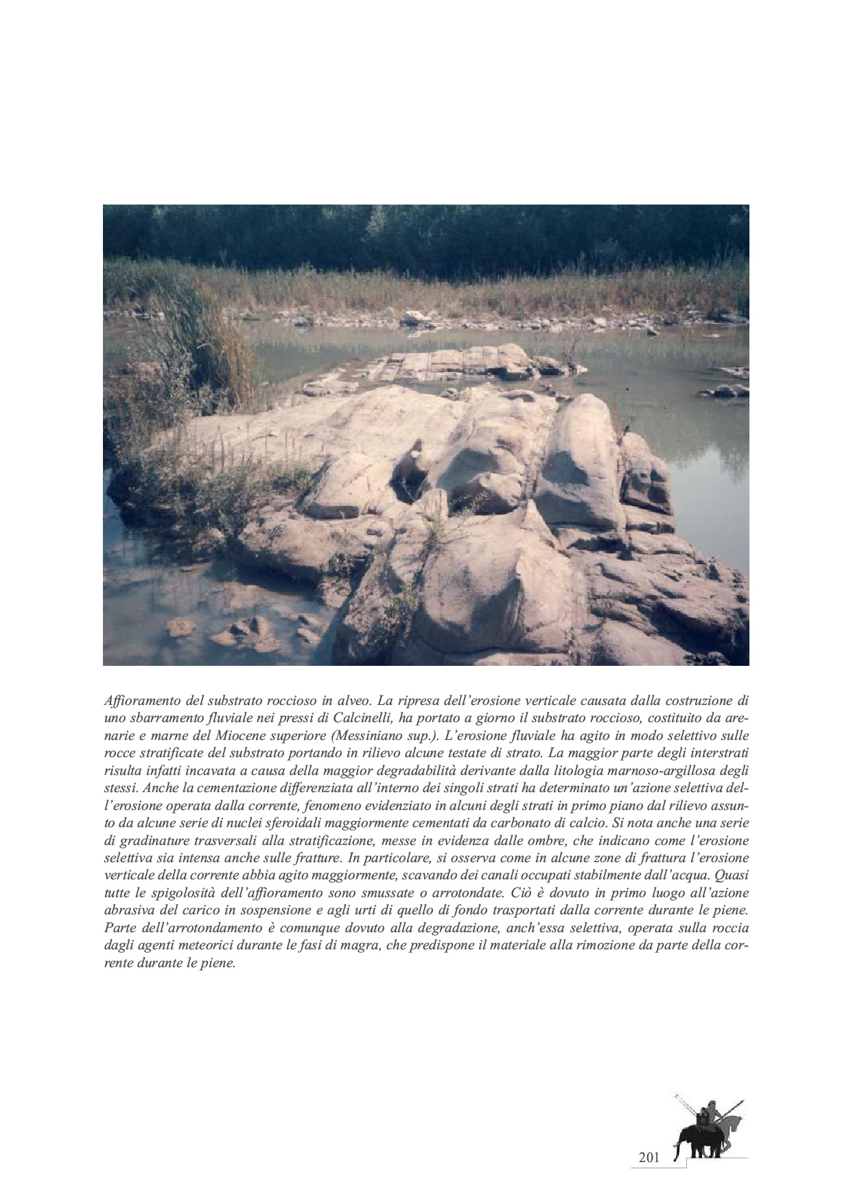 La Battaglia del Metauro p.201